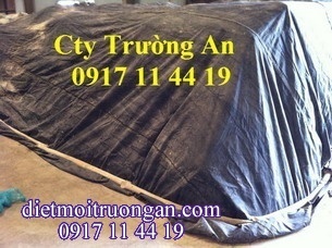 Qui trình  xông hơi khử trùng Quickphos 56%- DIỆT MỌT NÔNG SẢN